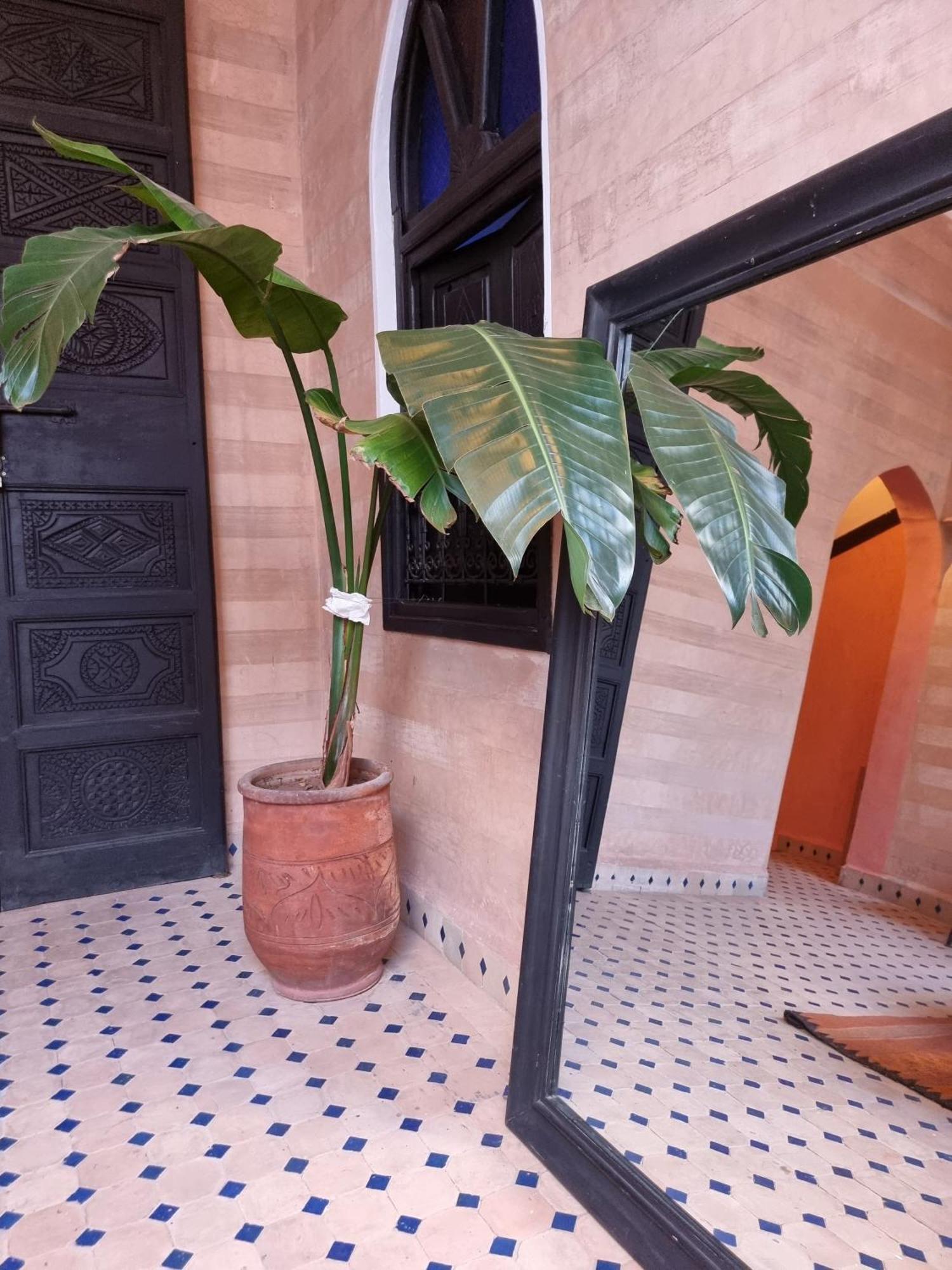 Riad Black Doors Marrakesh Eksteriør billede